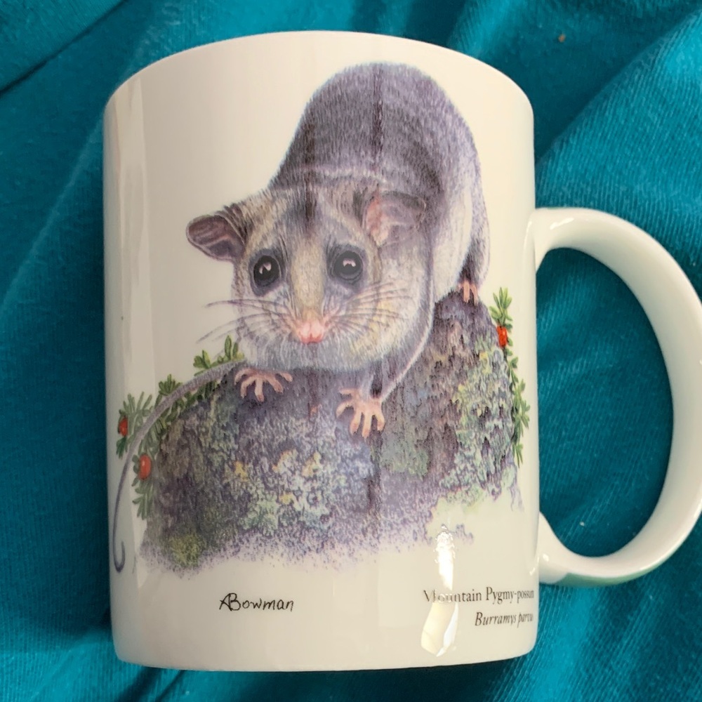 Mountain Pygmy Possum Mug from Australia